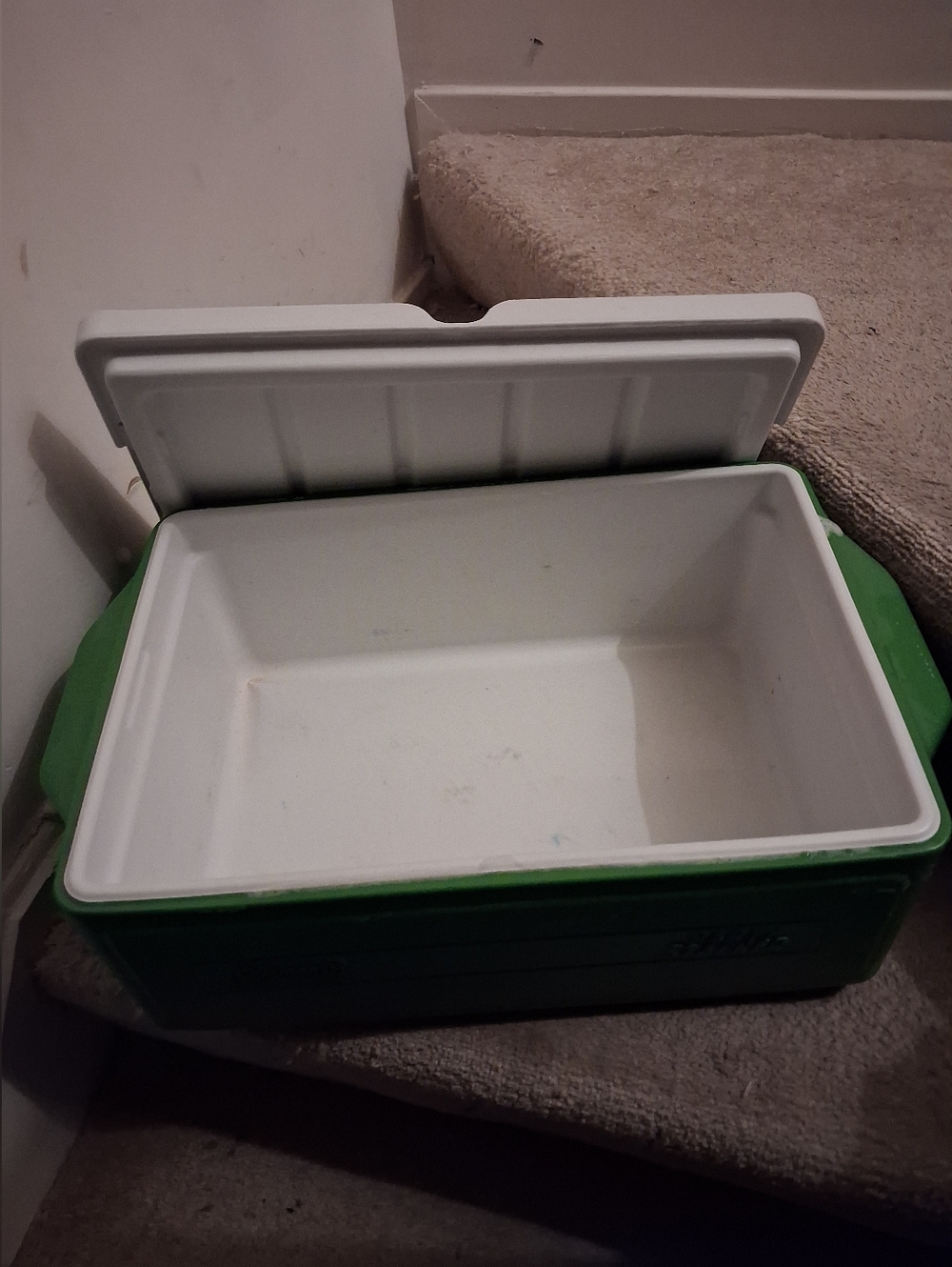 Coleman Green and White Portable Cooler Chest